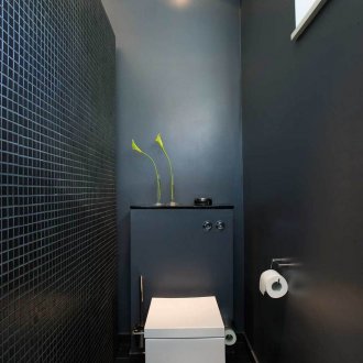 Wall hung toilet