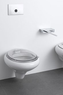 Wall hung toilet