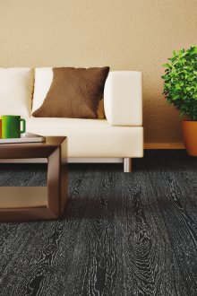 Под на дневната