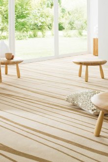 Под на дневната