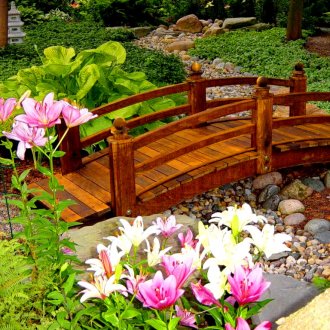 Суха рекичка