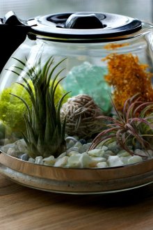 декоративна саксия