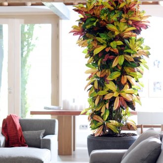 Аквариум в стената в интериора на хола