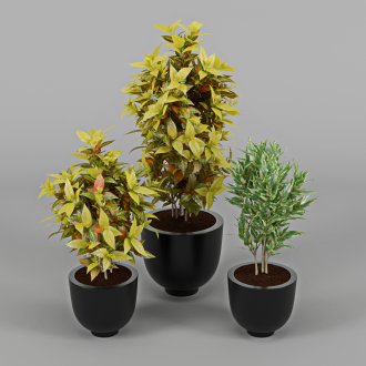 Оригиналният дизайн на таванския покрив на къщата