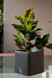 Cermin di dalam bilik tidur