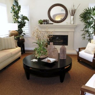 тропическо растение