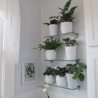 Орхидея Ванда в скандинавски интериор