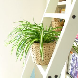 Карта рафт за книги