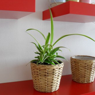 Sofa kayu dengan laci