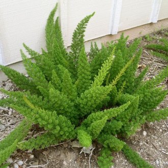 Подреждане на балкон