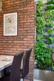 Озеленяване на стените в къщата