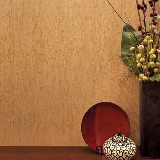 Stucco with mother of pearl in the hallway