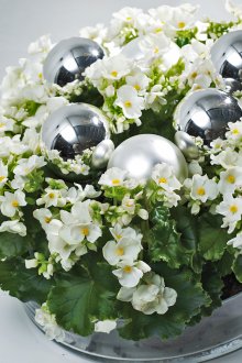 Тюркоазена всекидневна