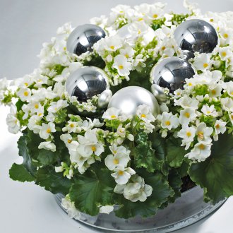 장식이 있는 등나무 소파