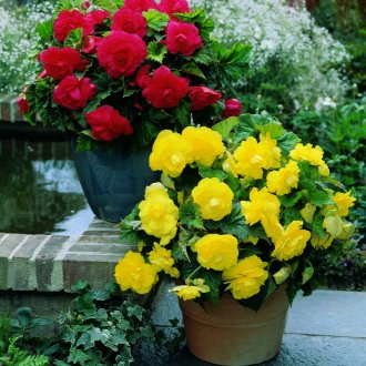 Надуваем градински диван