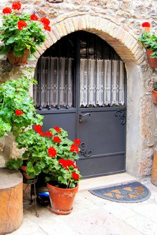 Класическа входна врата