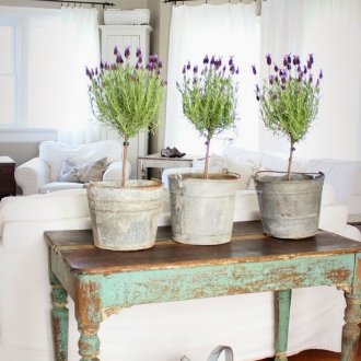 Възрастни мебели