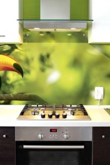 주방용 스키날리