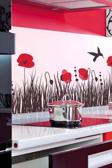 주방용 스키날리