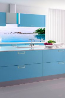 주방용 스키날리