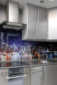 주방용 스키날리