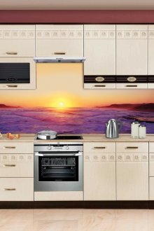 주방용 스키날리