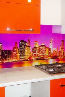 주방용 스키날리