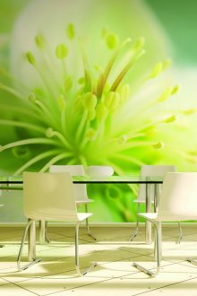 Пластмасова кухненска престилка