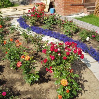 Предна градина