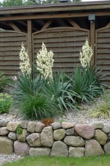 Предна градина