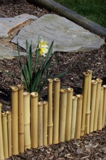 Предна градина