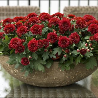 Ceramic soap dish for a bathroom