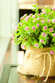 декоративна саксия