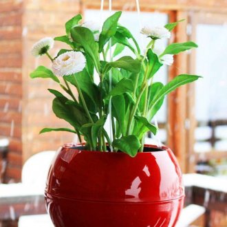 декоративна саксия