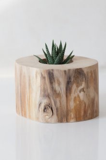 декоративна саксия