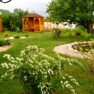 Японска спирея