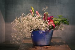 Ikebana