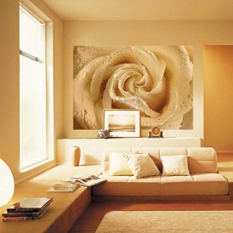 Метеорологична вана с роза на вятъра