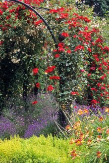 Декор от метална рамка