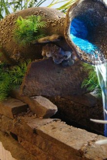 Фонтан за лятна резиденция