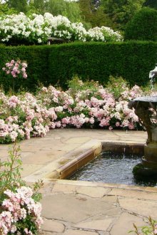 Медна двойна мивка в кухнята