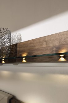 Лъскава врата със стъкло