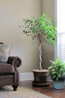 Ъглов декор