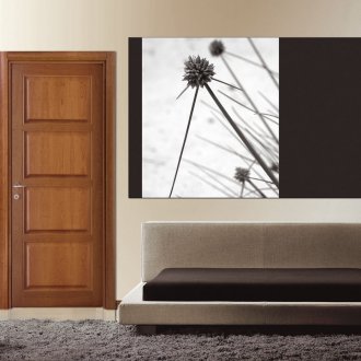 Традескантия стая