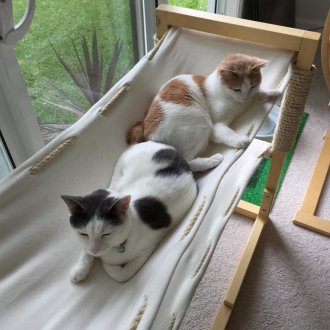 Хамак за котка