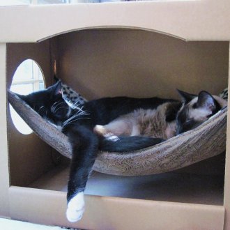 Извън хранилката за птици