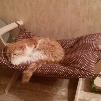 Хамак за котка