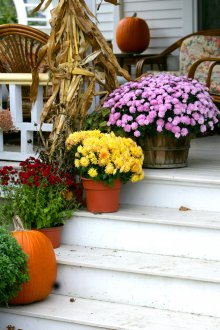 Черна предна врата