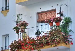 Flowers on the balcony