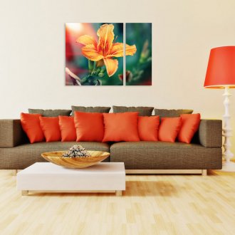 Диптих в декора на хола